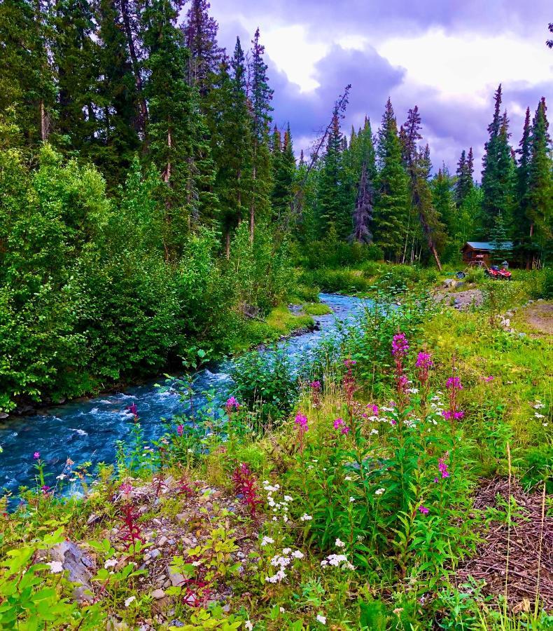 Carlo Creek Cabins Denali Park Екстер'єр фото