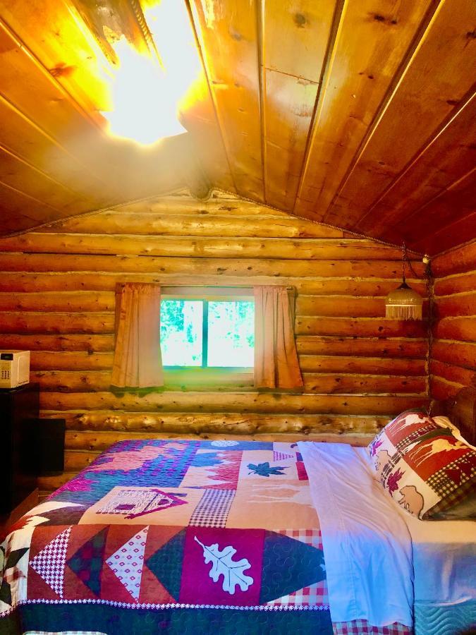 Carlo Creek Cabins Denali Park Екстер'єр фото