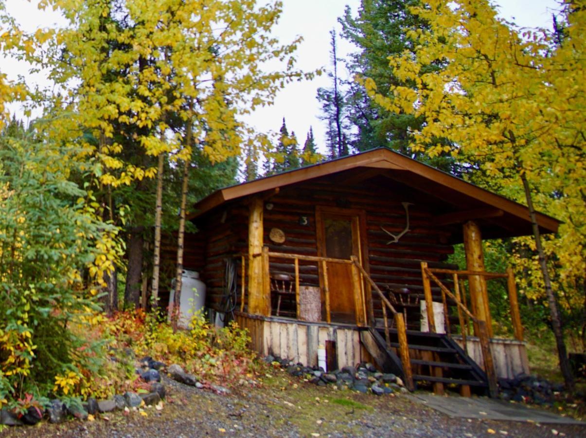 Carlo Creek Cabins Denali Park Екстер'єр фото