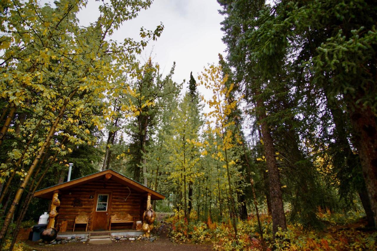 Carlo Creek Cabins Denali Park Екстер'єр фото