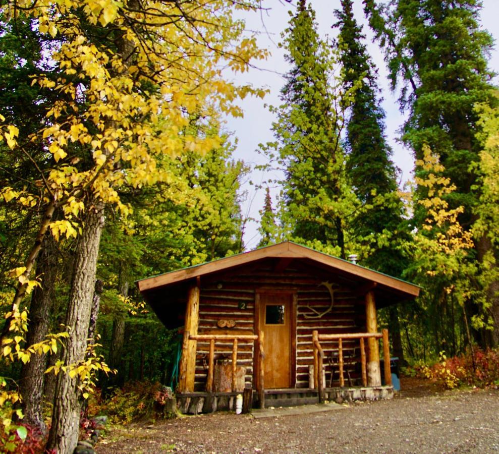 Carlo Creek Cabins Denali Park Екстер'єр фото