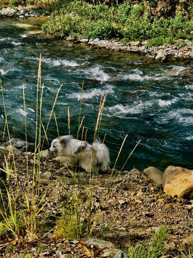 Carlo Creek Cabins Denali Park Екстер'єр фото