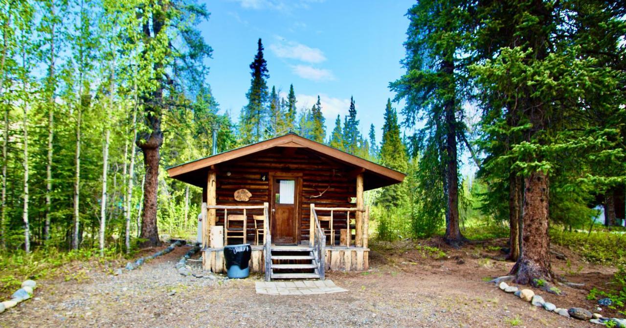 Carlo Creek Cabins Denali Park Екстер'єр фото