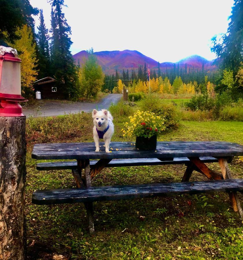 Carlo Creek Cabins Denali Park Екстер'єр фото