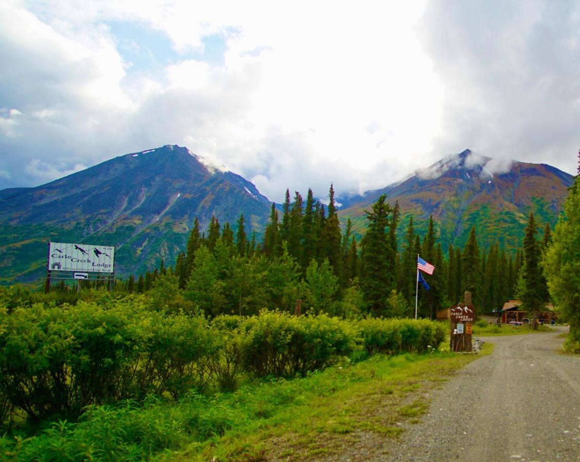 Carlo Creek Cabins Denali Park Екстер'єр фото