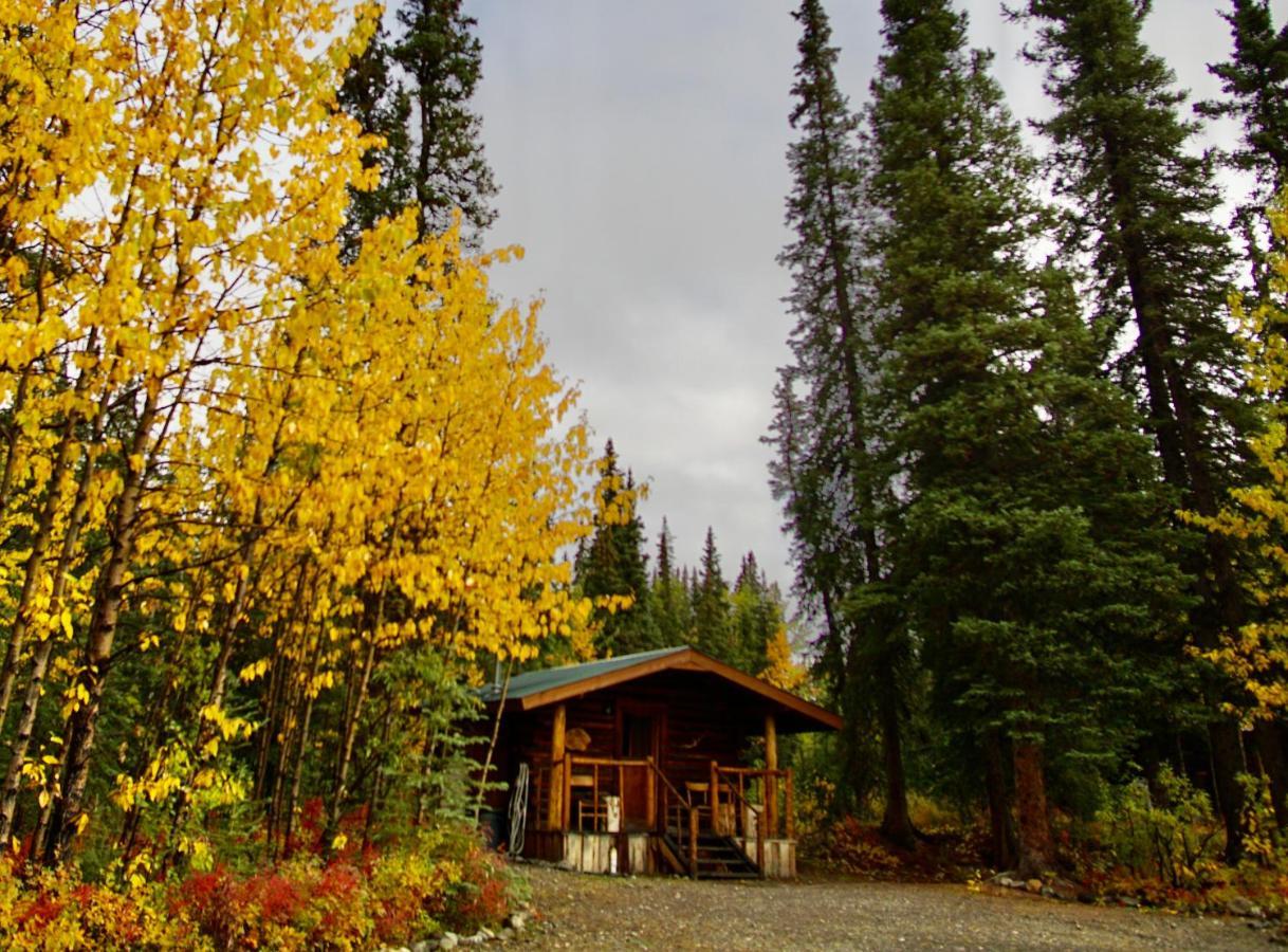 Carlo Creek Cabins Denali Park Екстер'єр фото