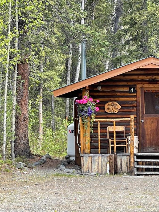 Carlo Creek Cabins Denali Park Екстер'єр фото