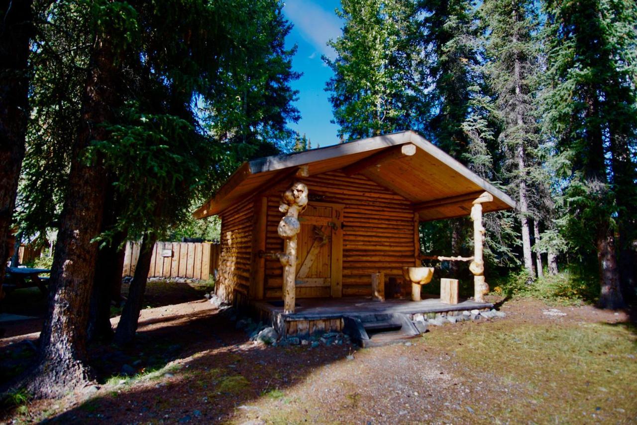 Carlo Creek Cabins Denali Park Екстер'єр фото