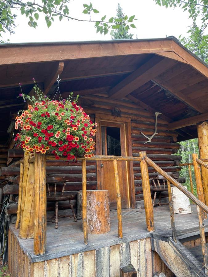 Carlo Creek Cabins Denali Park Екстер'єр фото