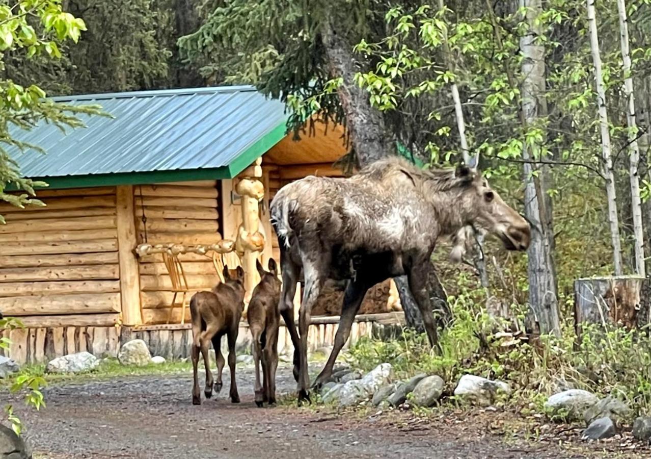 Carlo Creek Cabins Denali Park Екстер'єр фото