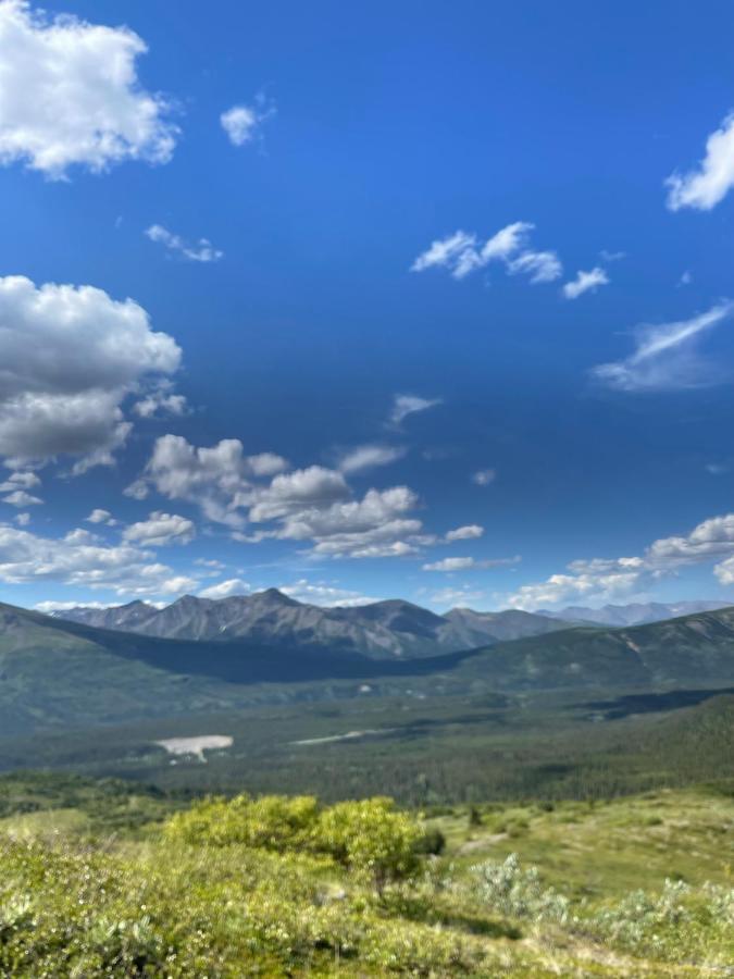 Carlo Creek Cabins Denali Park Екстер'єр фото