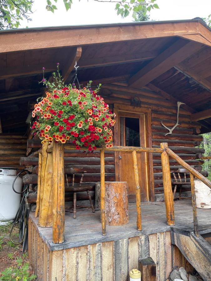 Carlo Creek Cabins Denali Park Екстер'єр фото