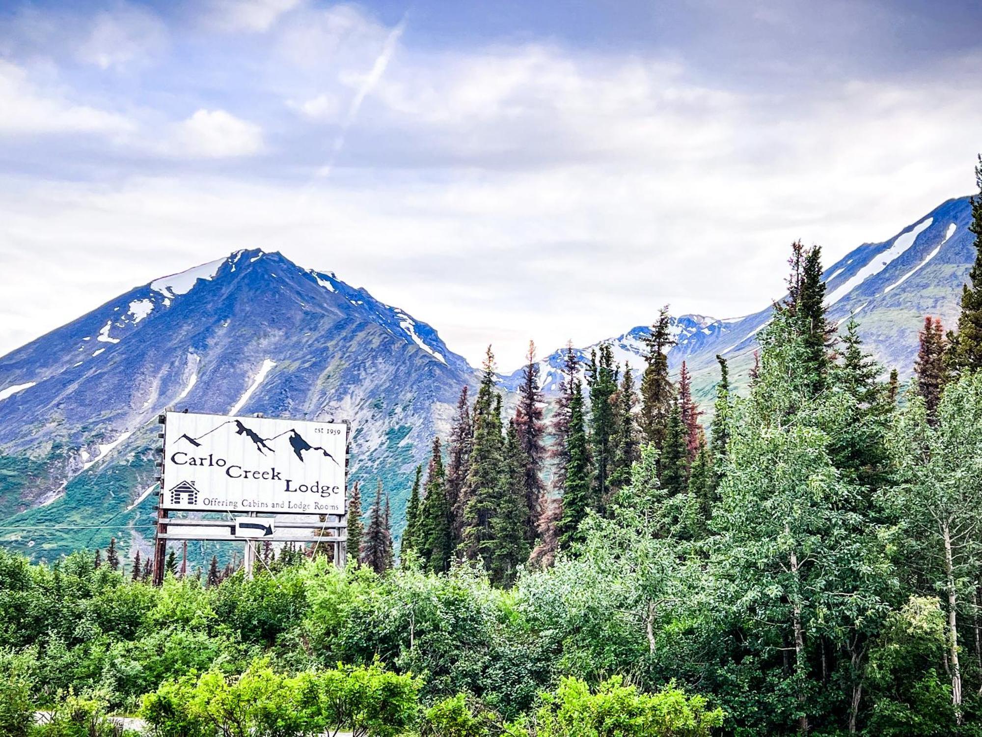 Carlo Creek Cabins Denali Park Екстер'єр фото