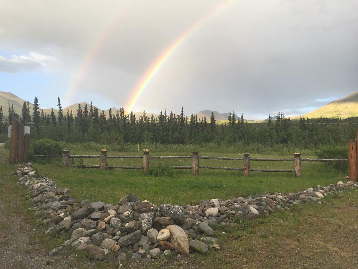 Carlo Creek Cabins Denali Park Екстер'єр фото