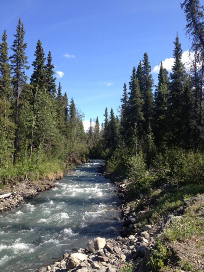 Carlo Creek Cabins Denali Park Екстер'єр фото