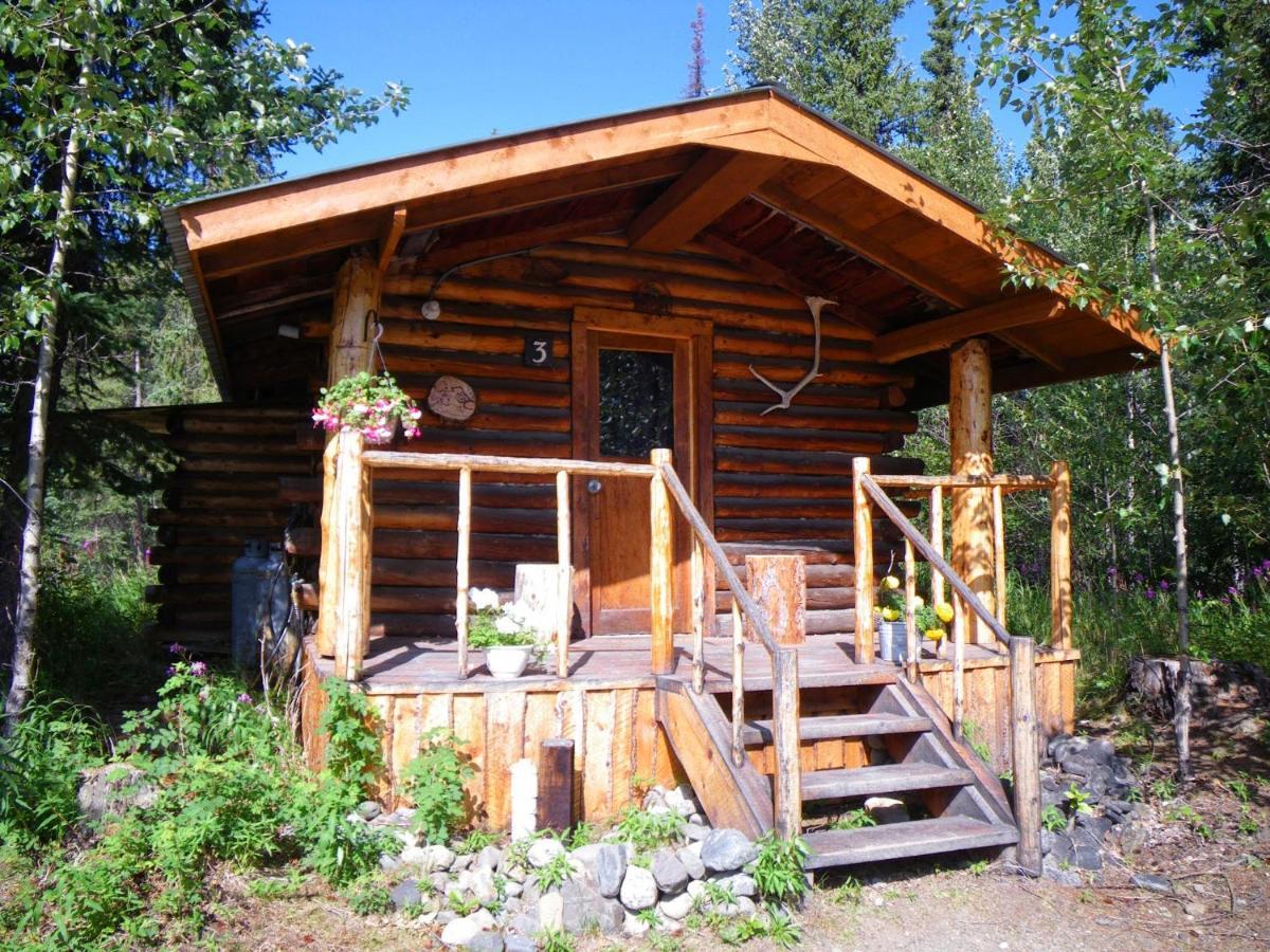 Carlo Creek Cabins Denali Park Екстер'єр фото